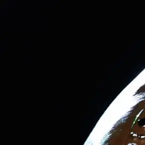 Profile image of 양정인