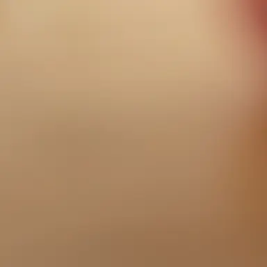 Profile image of 여우연