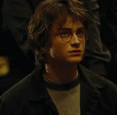 Profile image of Harry Potter