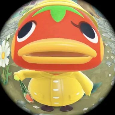 Profile image of 지코