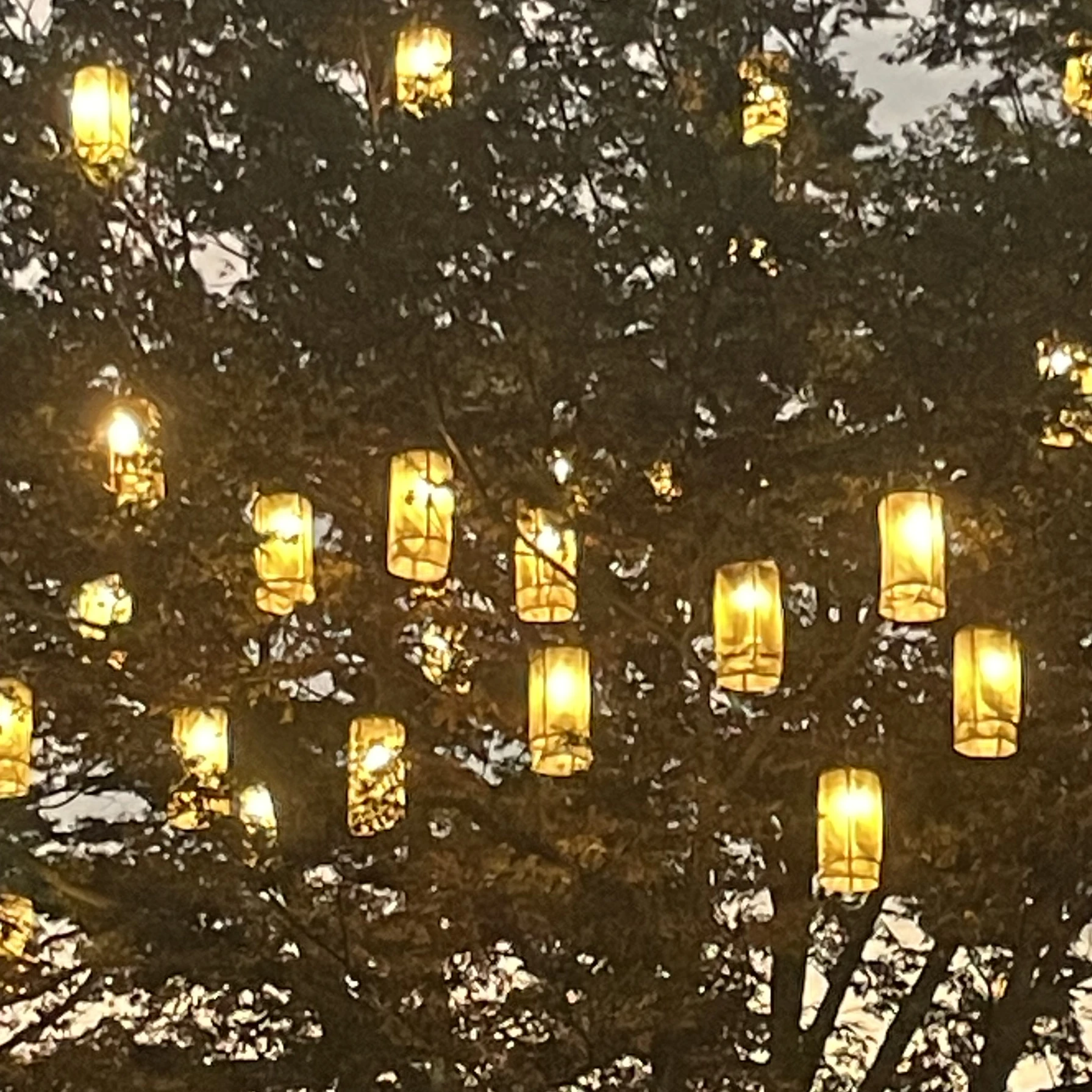 임선아