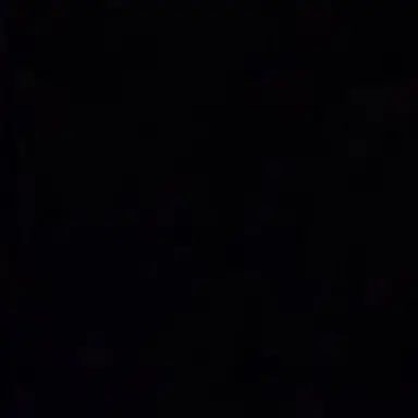 Profile image of 스프런키들