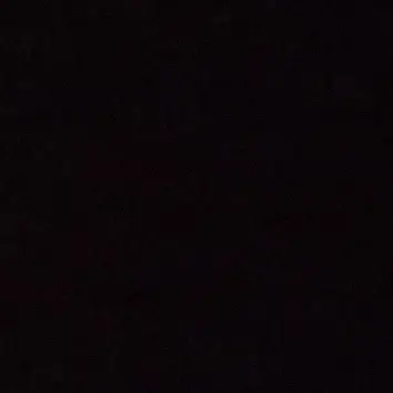 Profile image of 쿠키들과여우