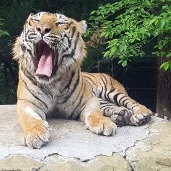 Profile image of 최 요원