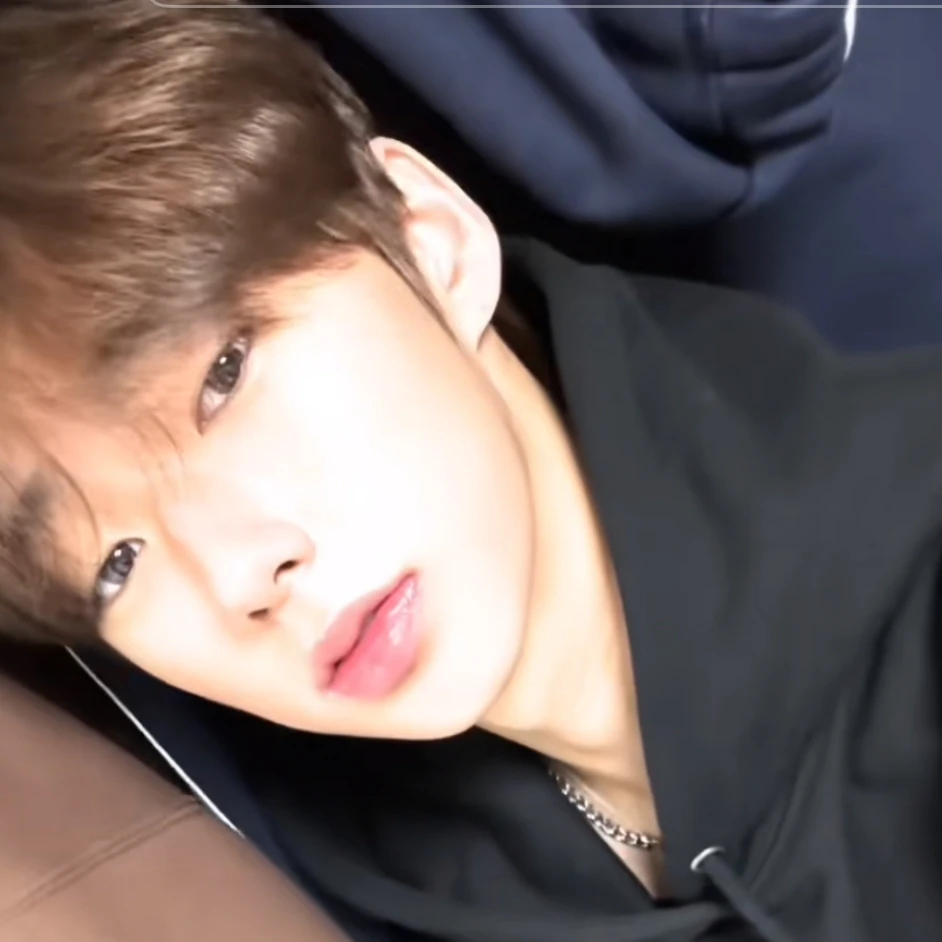 권무진