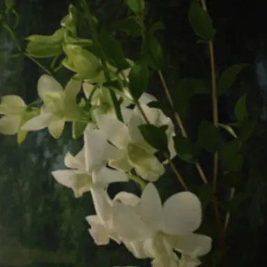 Profile image of 운터