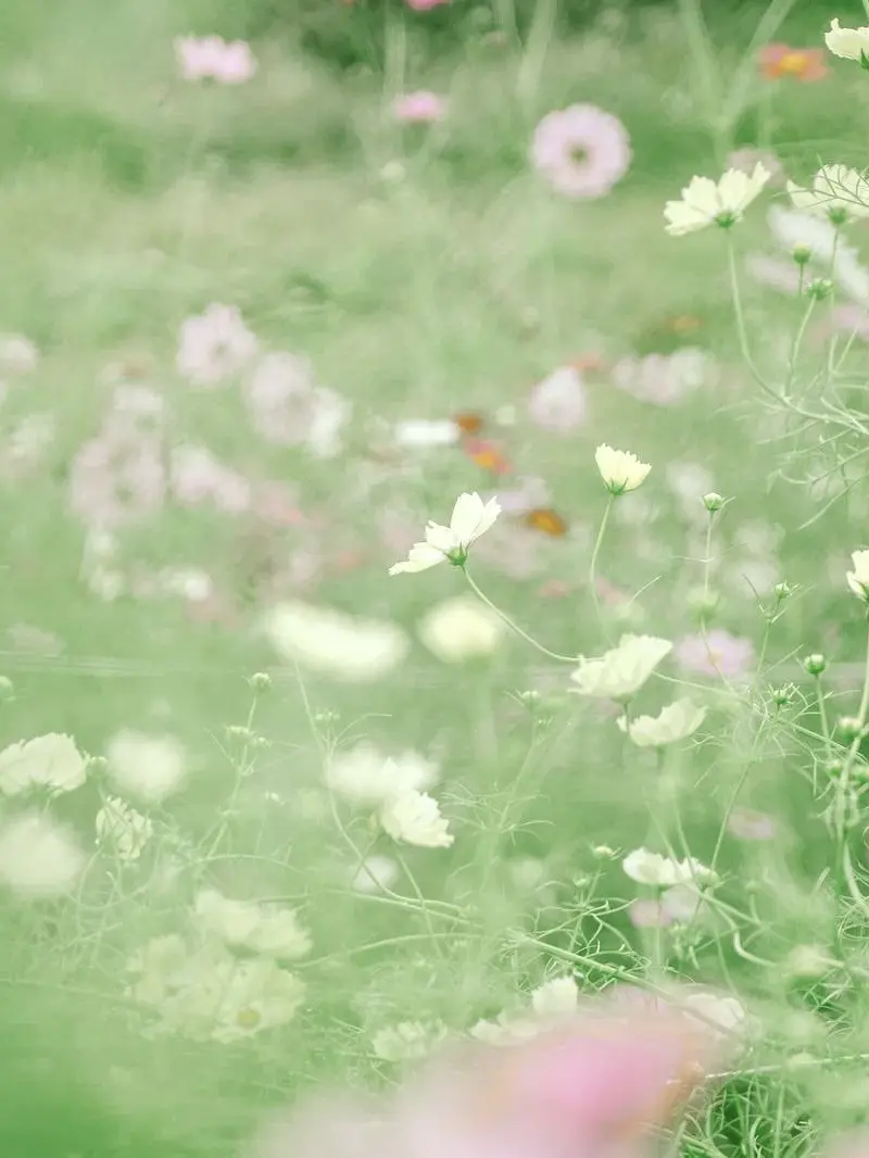 ._____.2064의 ずっと探してる。