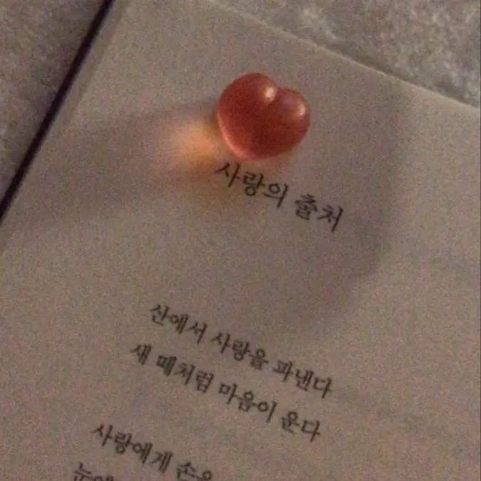 Oyasumi.00의 💘