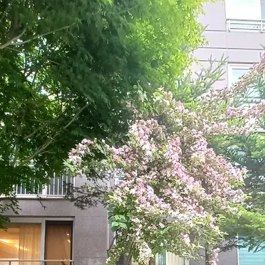 Profile image of 이민호