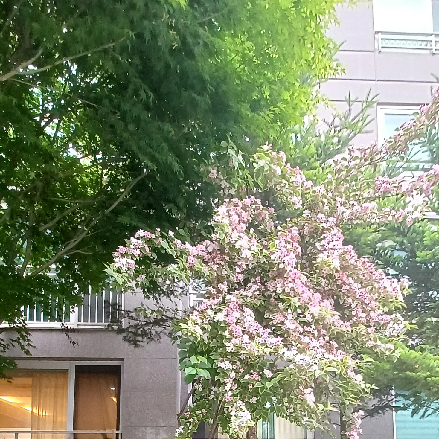 이민호