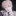 최 윤