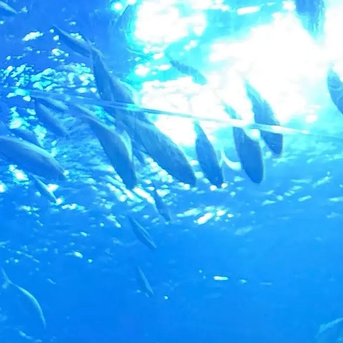 doyoustilloveme의 유지민