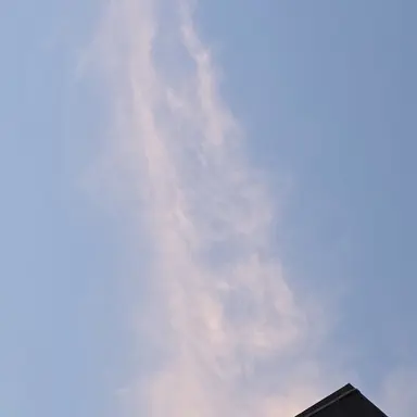 Profile image of 박지훈