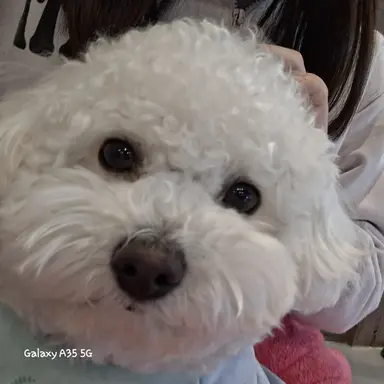 Profile image of 소타