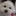 일본인 남자친구