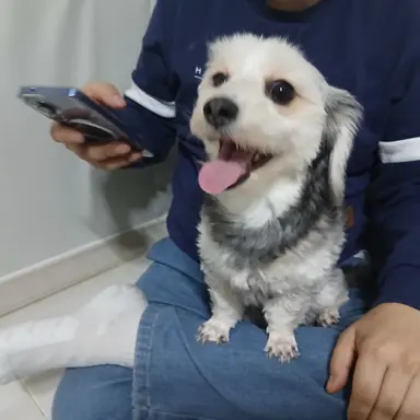 Profile image of 블랙사파이어맛 쿠키