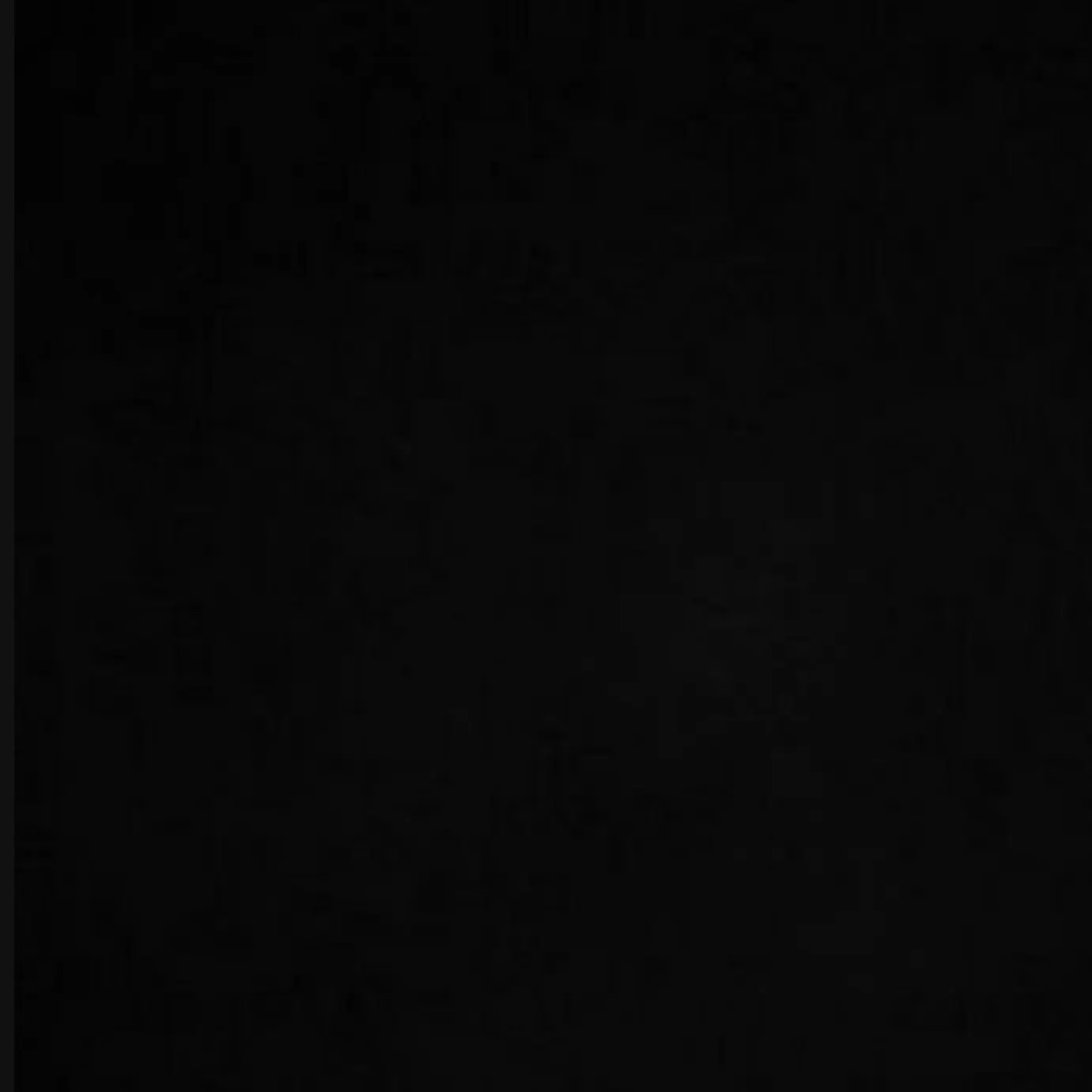 MildHorgi6756의 선도부 유강민