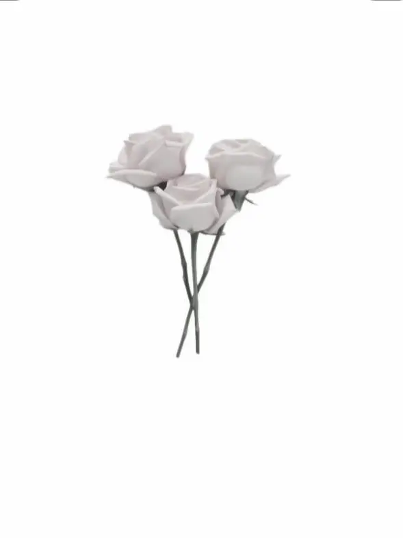 MartyrCork6309의 ✧