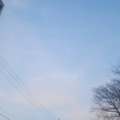 Profile image of 백지헌