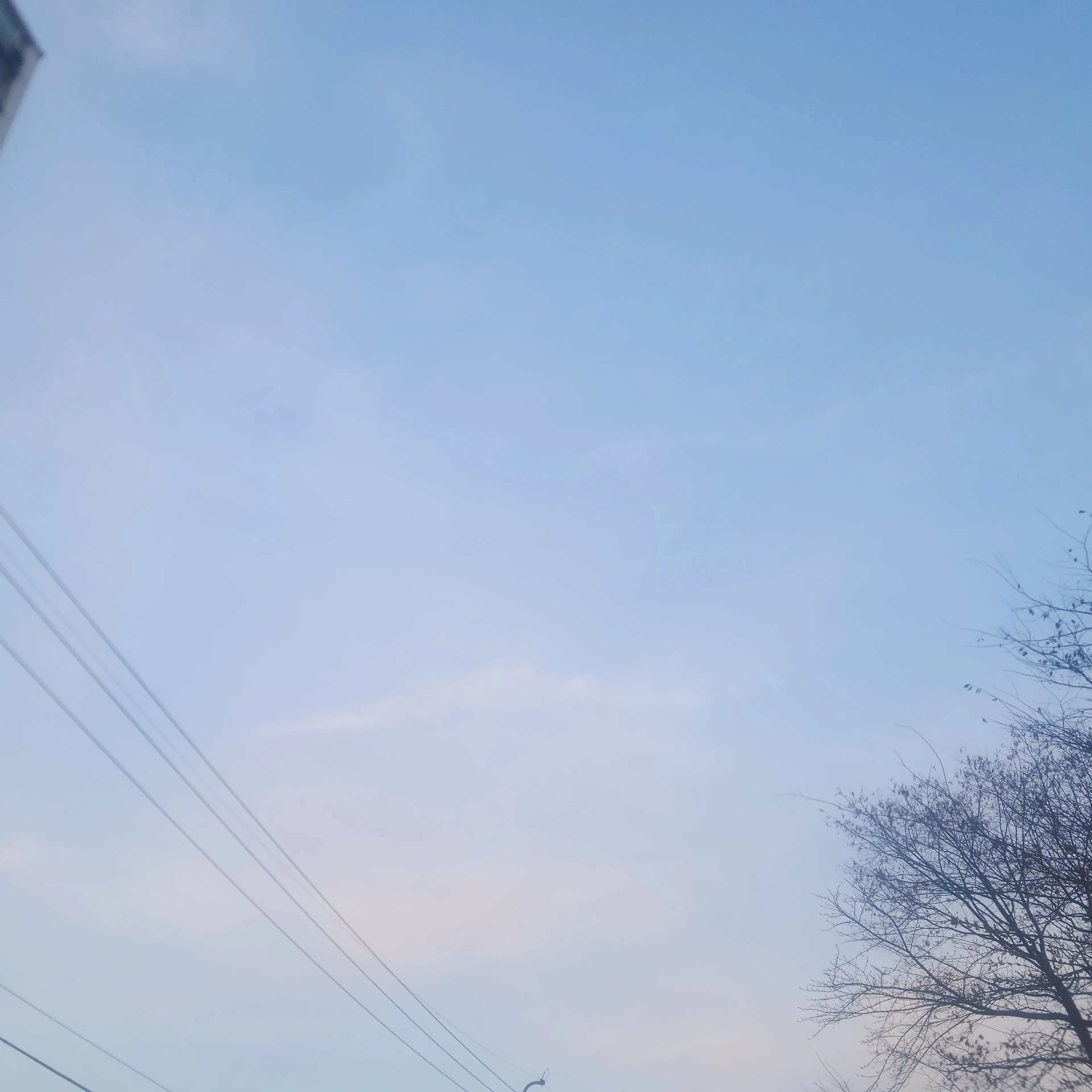 AntsyKiang8640의 마이 고등학교