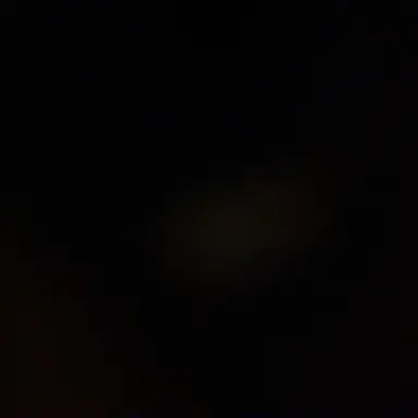 Profile image of 김애리