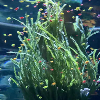 Profile image of 뜰팁수인학교