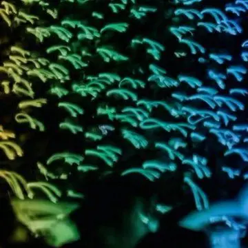 mutimutimutimutimutimutimutimu의 そ ろ そ ろ 出 さ せ て ．．．