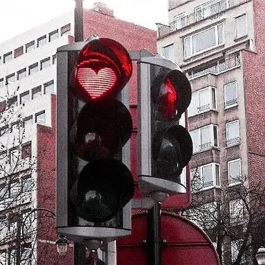 Profile image of 라더