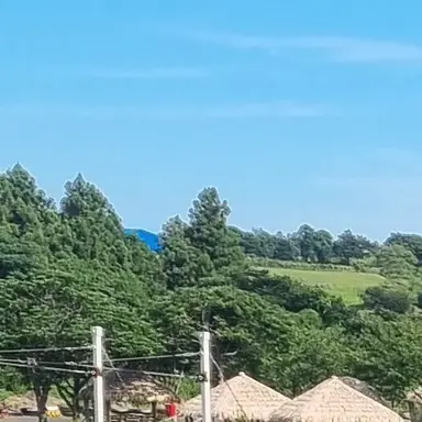 Profile image of 발락 클라라