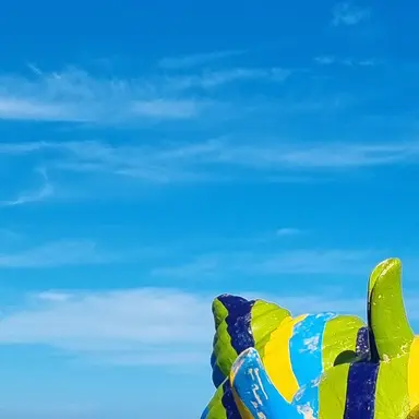 Profile image of 스즈키이루마