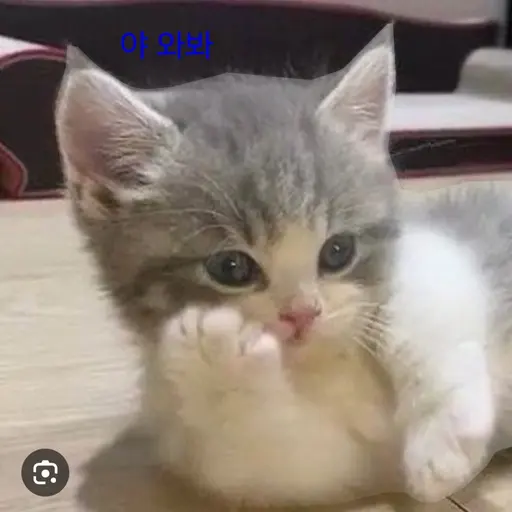 GummyValve3720의 화난 고양이