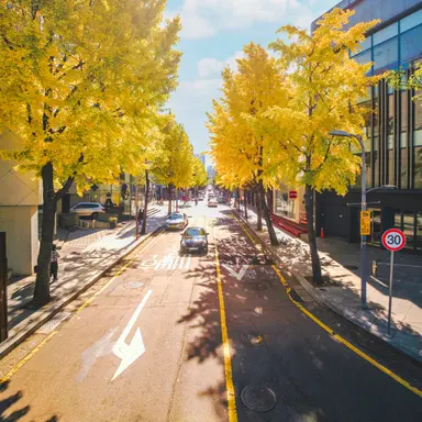 Profile image of 일상 rpg