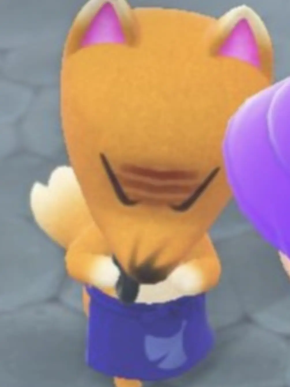 HumaneCoast4278의 Animal Crossing (Redd)
