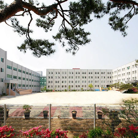 한림예고 체육대회