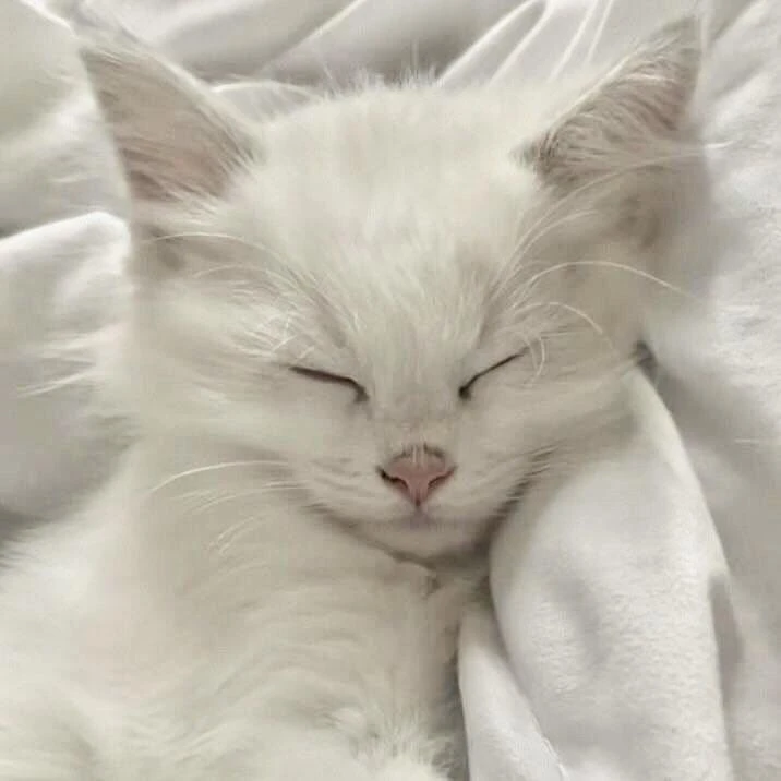 강다겸