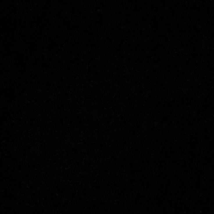 최상엽