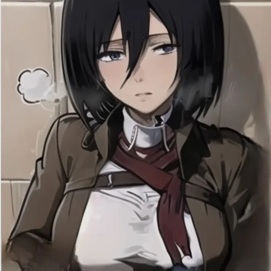 Usop의 미카사