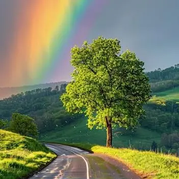 Profile image of 주르르