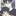김주현