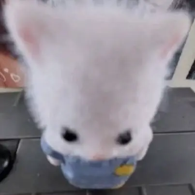 leejiwooleejiwoo의 크러쉬