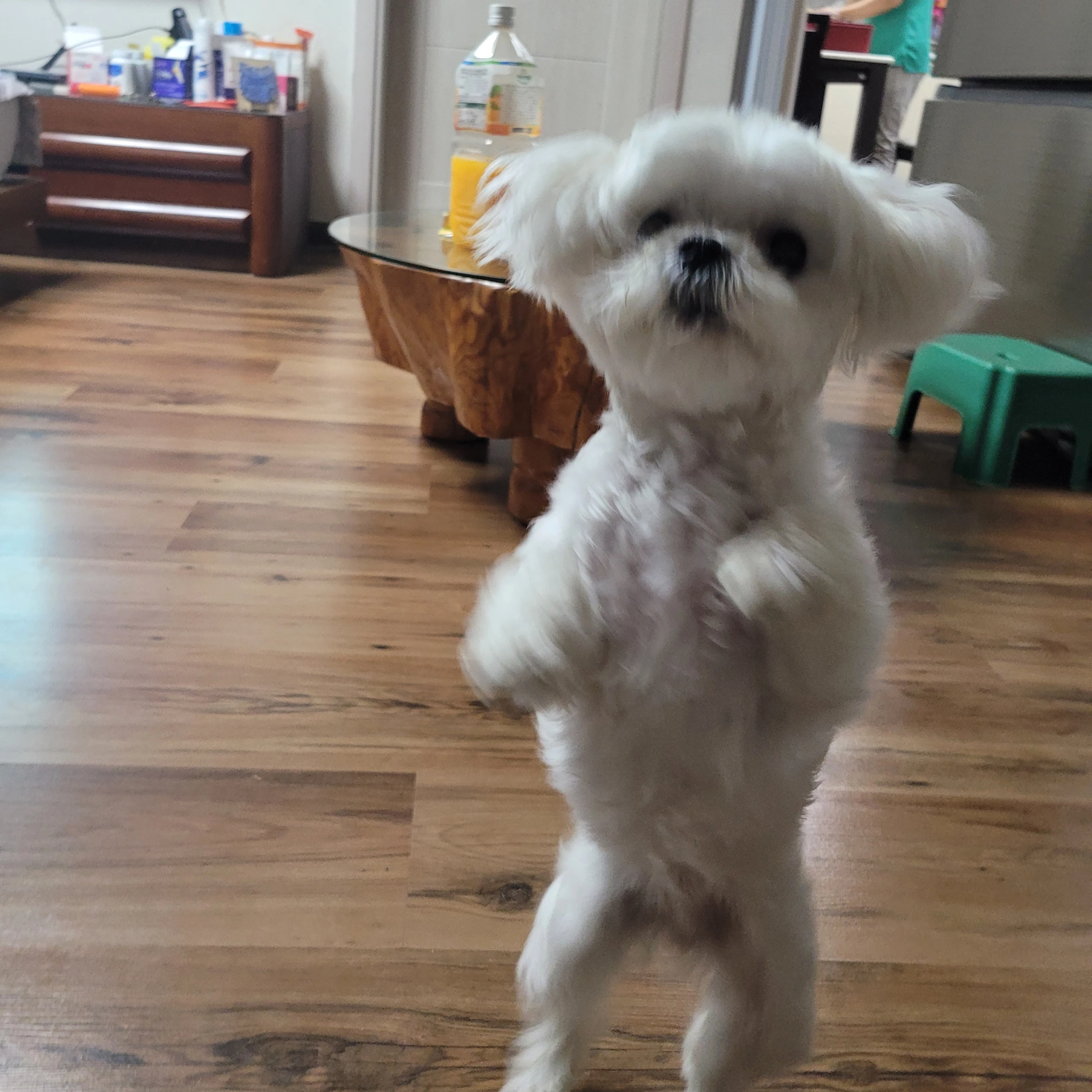 크림