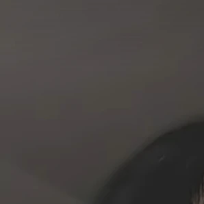 여우