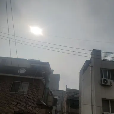 Profile image of 다른 학생들