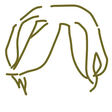Profile image of マヒル
