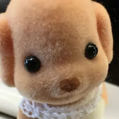 Profile image of 제이슨