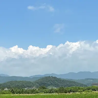 Profile image of もとき