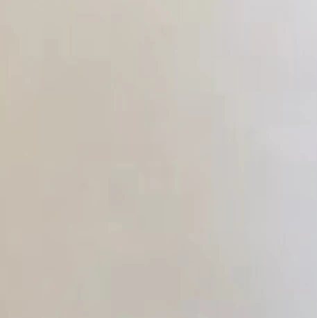 베가펑크