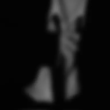 Profile image of 大 森 元 貴