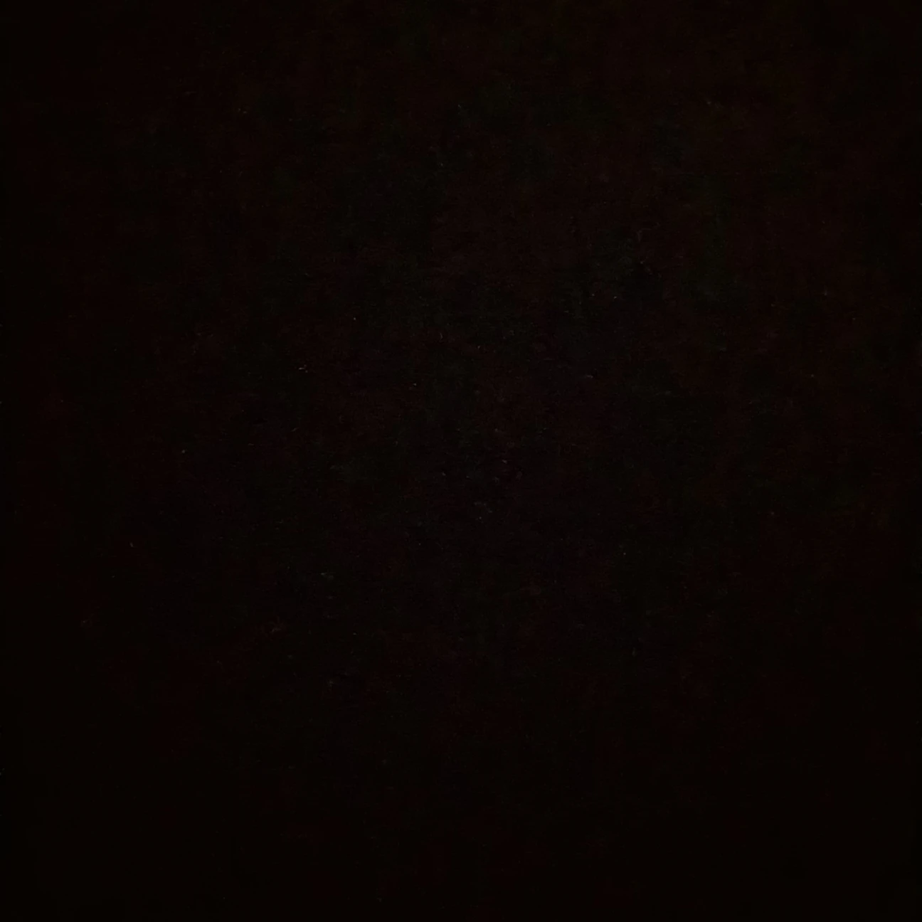 홍재열
