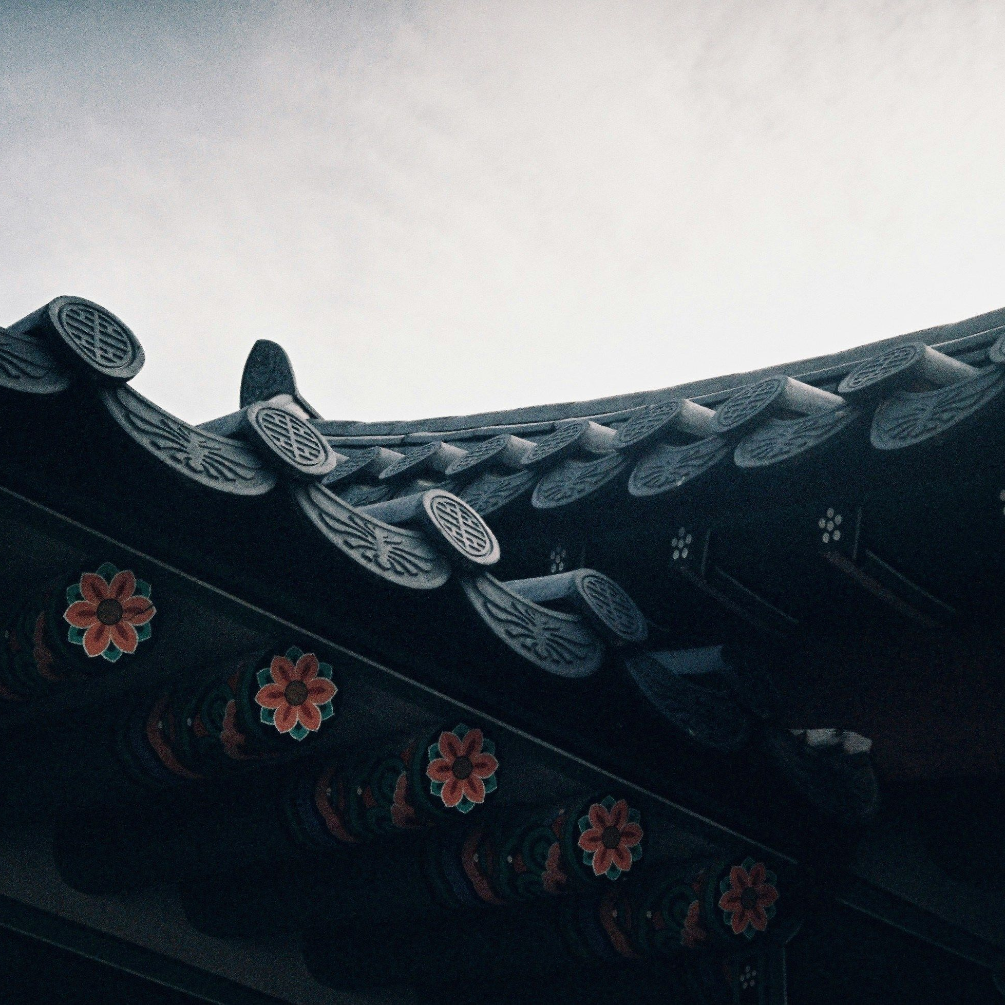 陰陽體系 대표 이미지